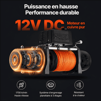 Moteur 12V CC en cuivre pur du treuil, vue interne du bobinage